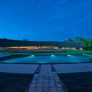 Red Earth Tadoba